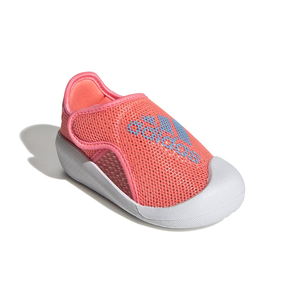 Aqua 2024 socks adidas