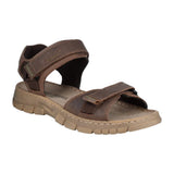 Brendan 01 Brown