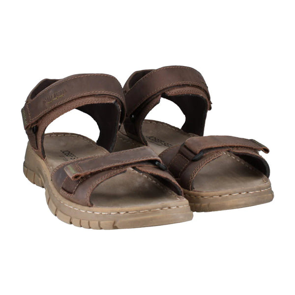 Brendan 01 Brown