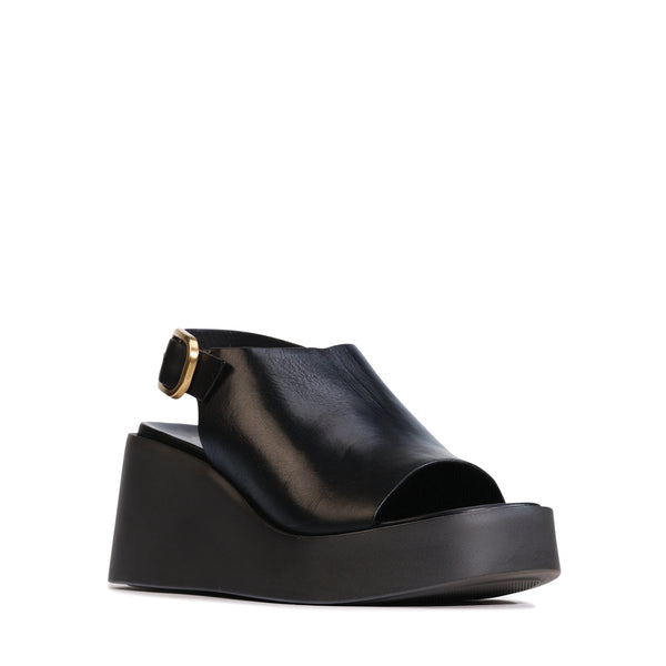 Ariani Black