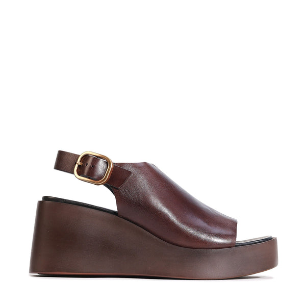 Ariani Chestnut