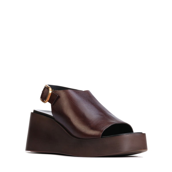 Ariani Chestnut