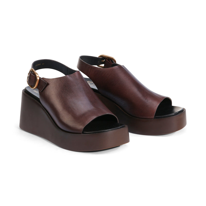 Ariani Chestnut