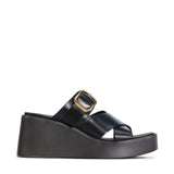 Aris Black