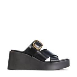 Aris Black