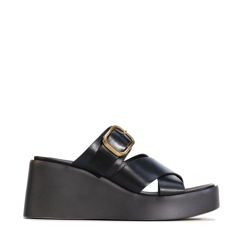 Aris Black