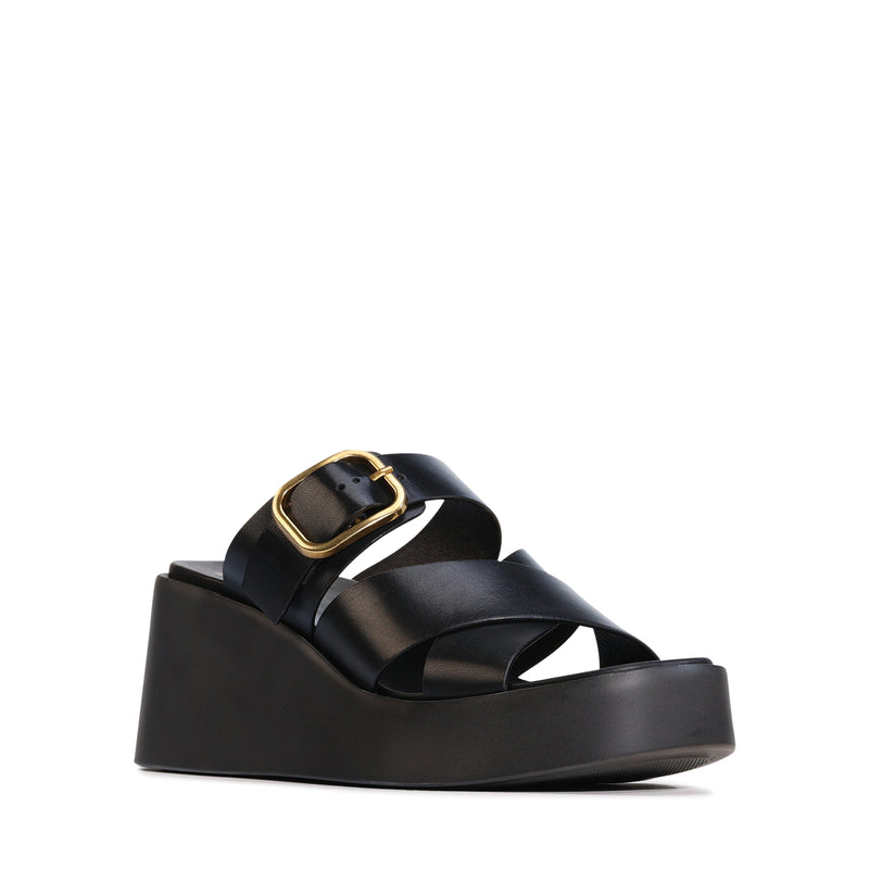 Aris Black