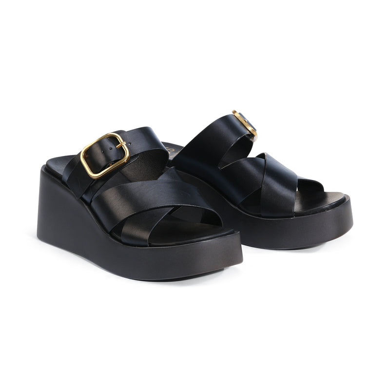 Aris Black