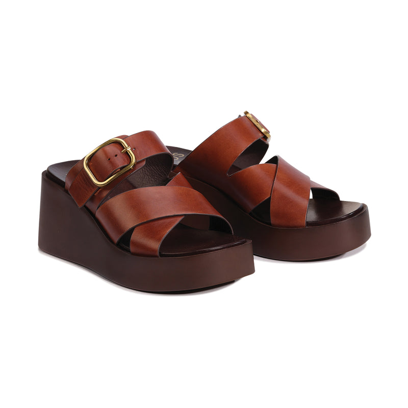 Aris Brandy