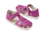 Tropicana II IW Orchid
