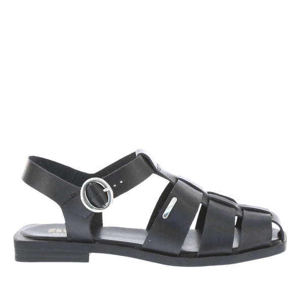 Velina Black