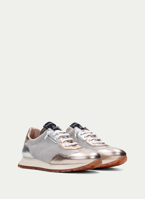 CHV253869 Kansas Metallic Multi