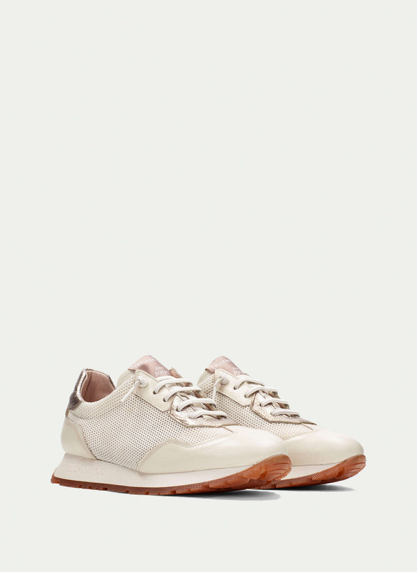 CHV253869 Kansas Latte Multi