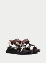 Ambar Black Pony Hazelnut CHV264869