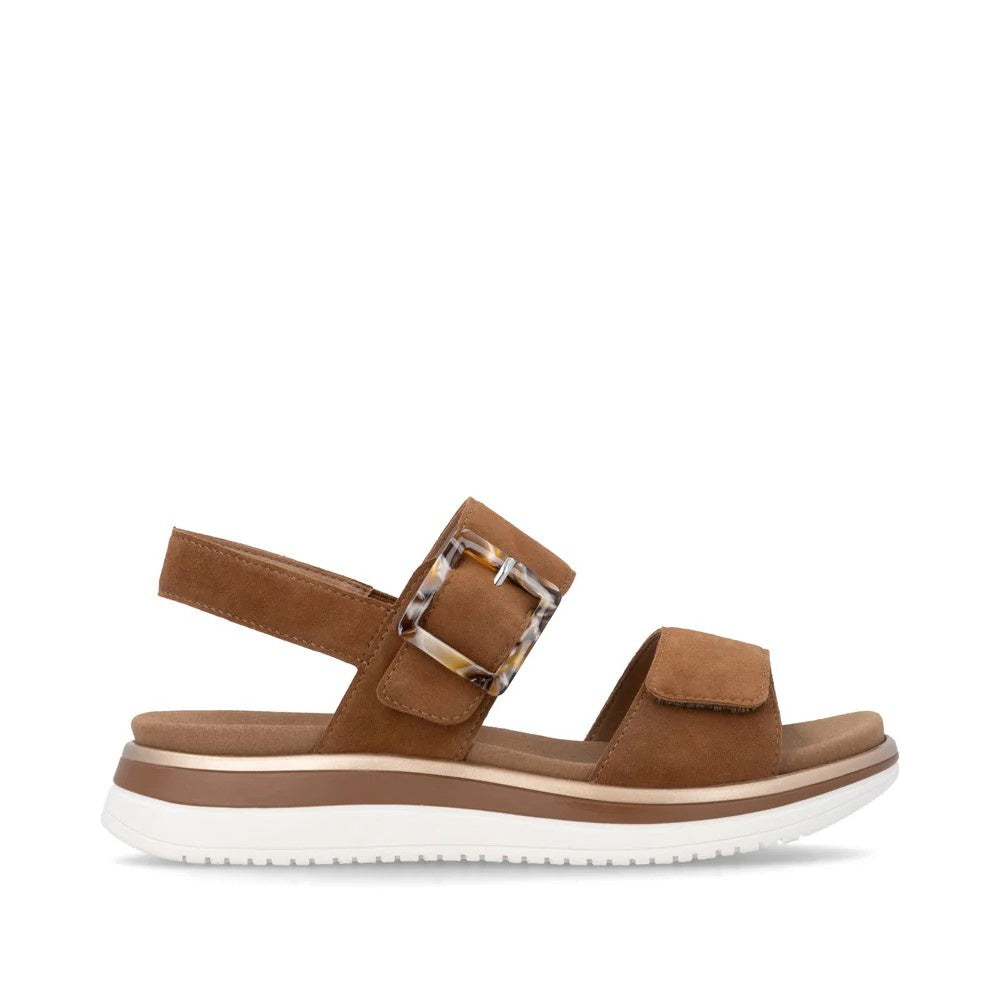 D1J62-22 Hazelnut