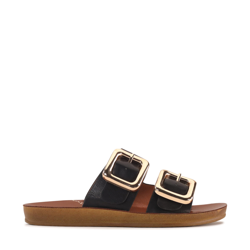 Dina Black