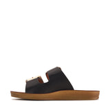 Dina Black