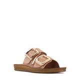 Dina Pecan