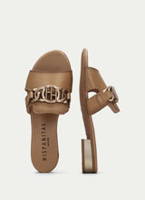 HV243268 Lena Desert