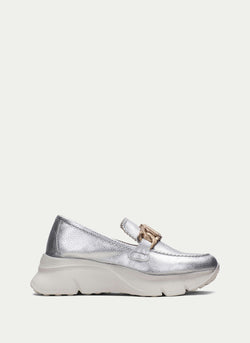 HV243307 Hawai Silver