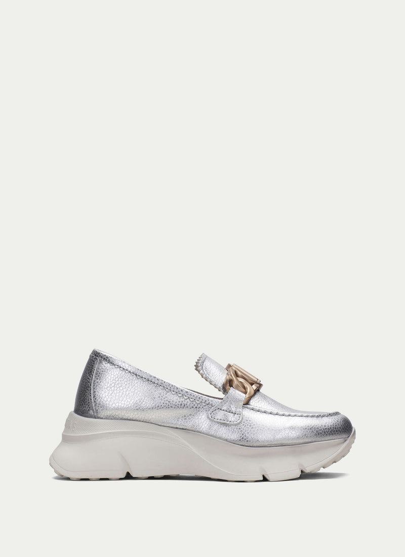 HV243307 Hawai Silver