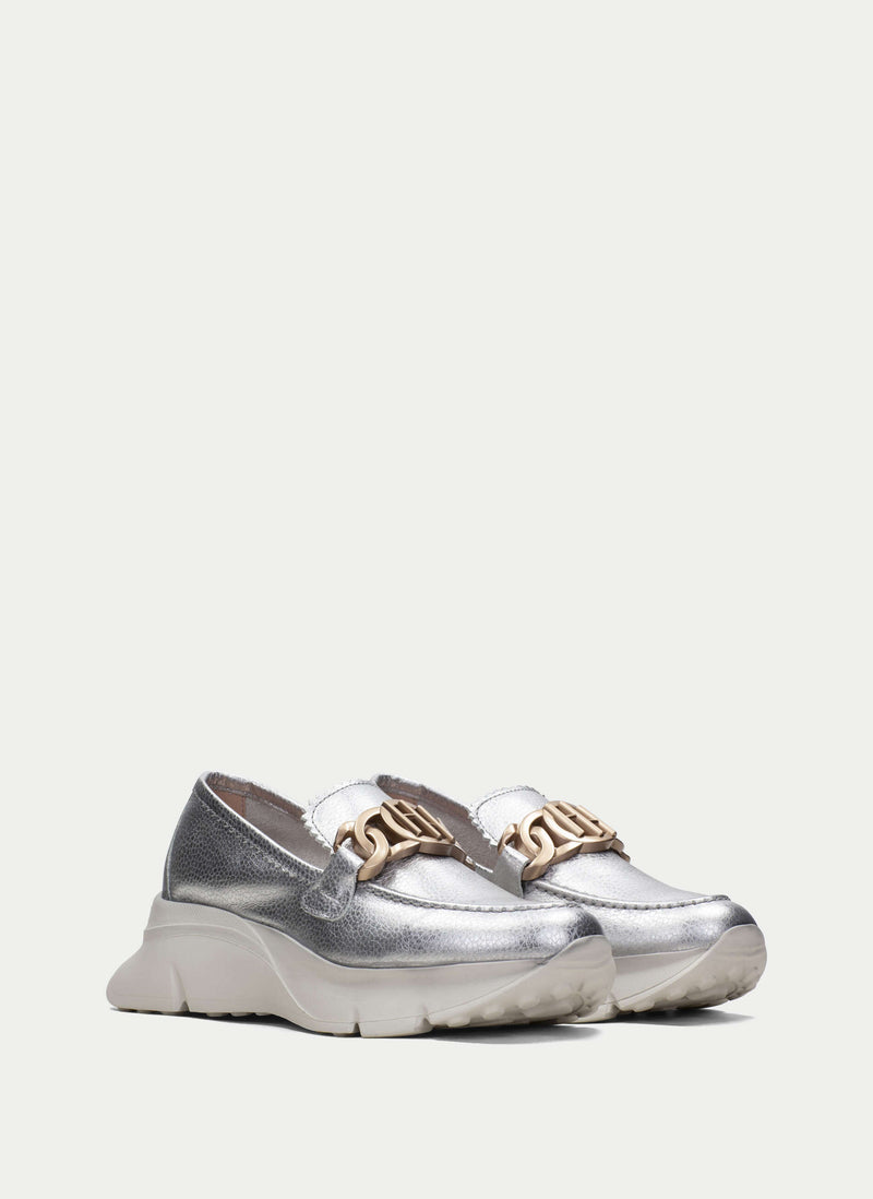 HV243307 Hawai Silver