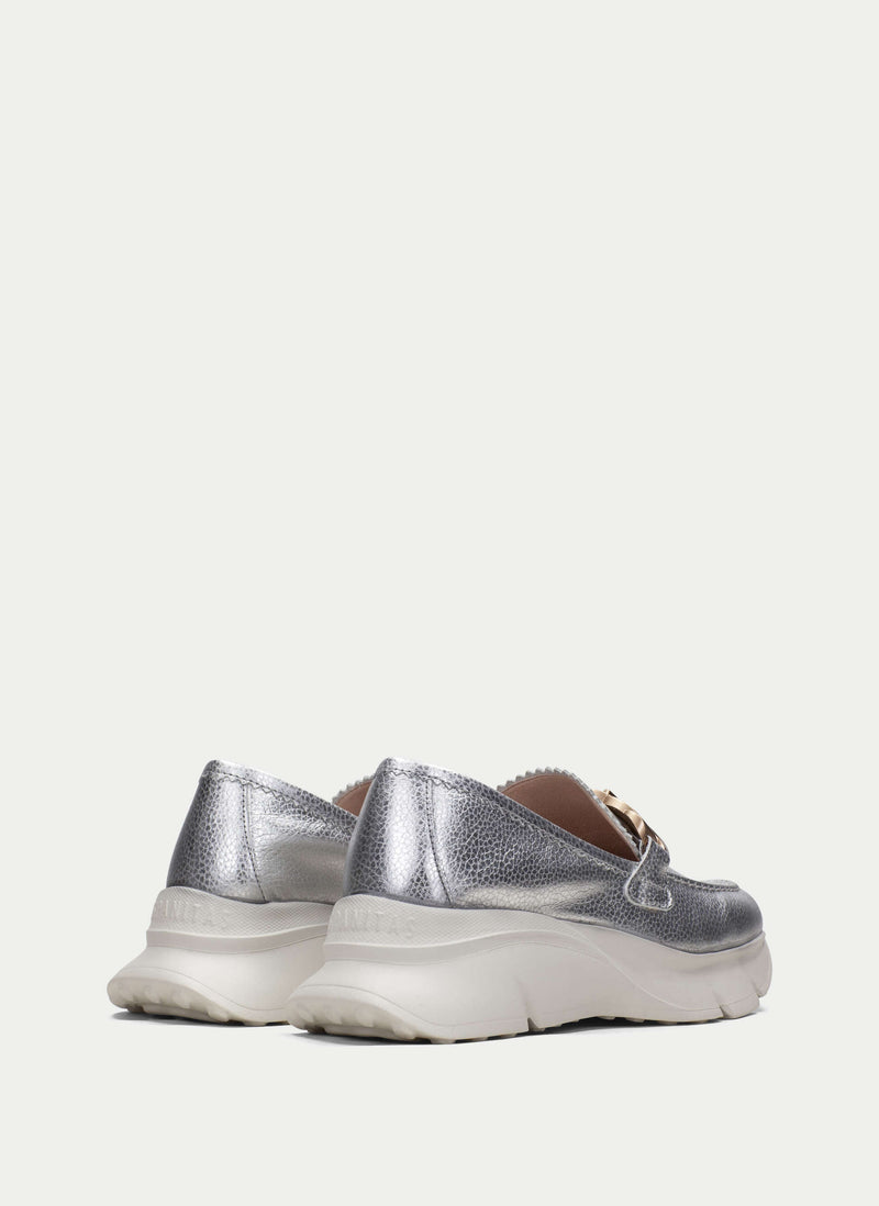 HV243307 Hawai Silver