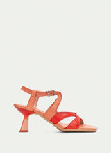 HV253879 Danielle Scarlet Coral