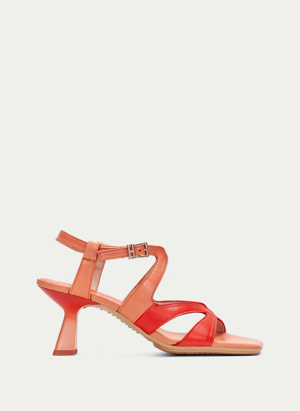 HV253879 Danielle Scarlet Coral