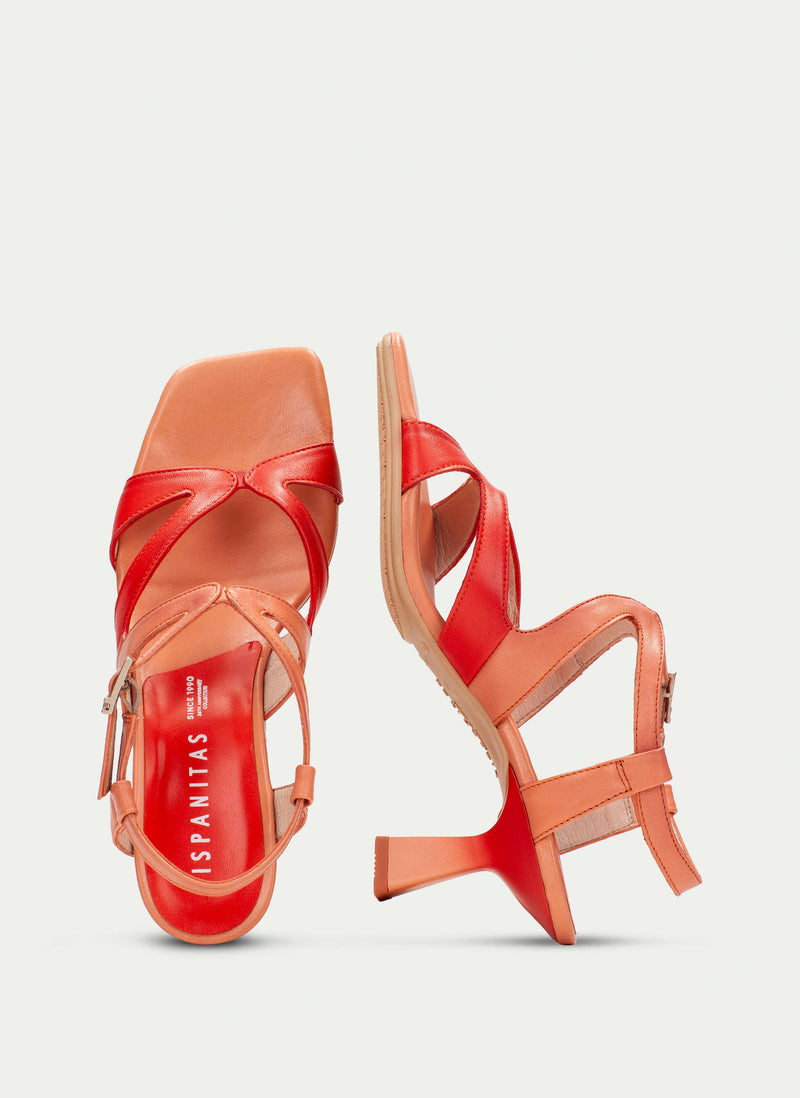 HV253879 Danielle Scarlet Coral