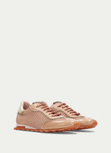 Zinnia Camel HV264596