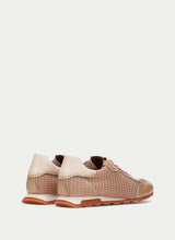 Zinnia Camel HV264596