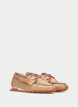 Zinnia Camel HV264603