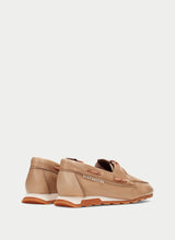 Zinnia Camel HV264603