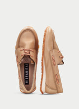 Zinnia Camel HV264603
