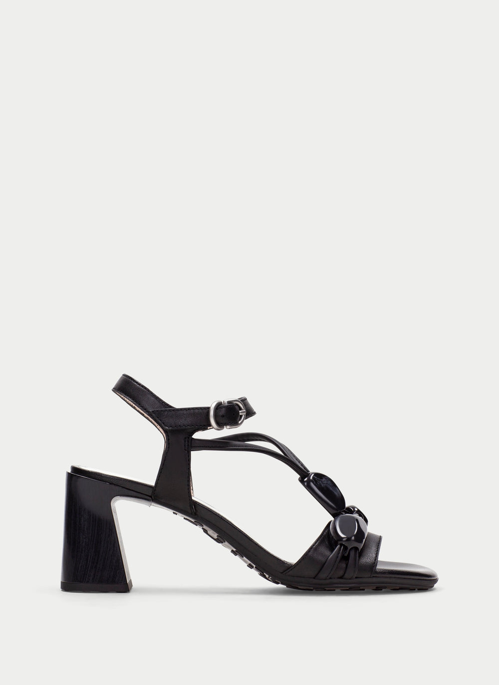 Orquidea Black HV264635