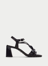 Orquidea Black HV264635