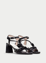 Orquidea Black HV264635