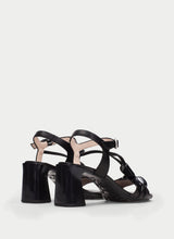 Orquidea Black HV264635