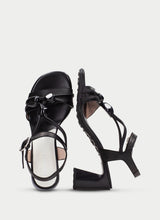 Orquidea Black HV264635