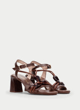 Orquidea Hazelnut  HV264635