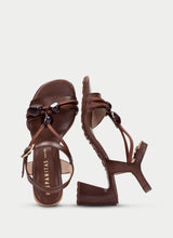 Orquidea Hazelnut  HV264635