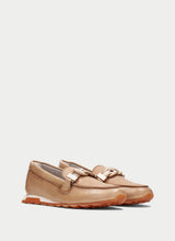 Zinnia Camel HV264662