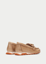 Zinnia Camel HV264662
