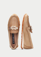 Zinnia Camel HV264662
