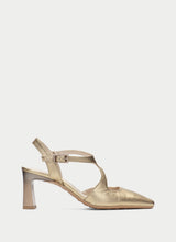 Amapola Platinum HV264667