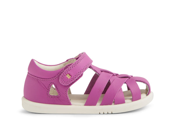 Tropicana II IW Orchid