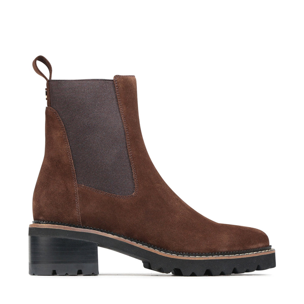 Linear Chestnut Suede