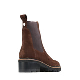 Linear Chestnut Suede
