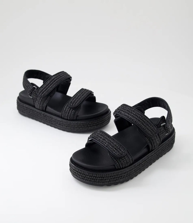 Bridgett Black